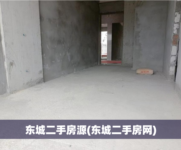 东城二手房源(东城二手房网) 东城二手房源(东城二手房网)