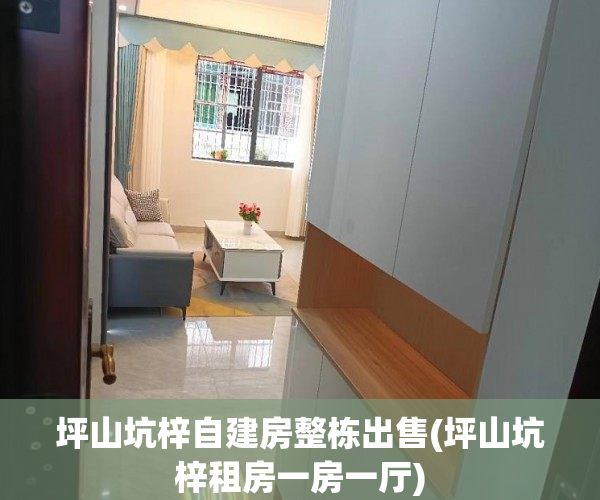 坪山坑梓自建房整栋出售(坪山坑梓租房一房一厅) 坪山坑梓自建房整栋出售(坪山坑梓租房一房一厅)