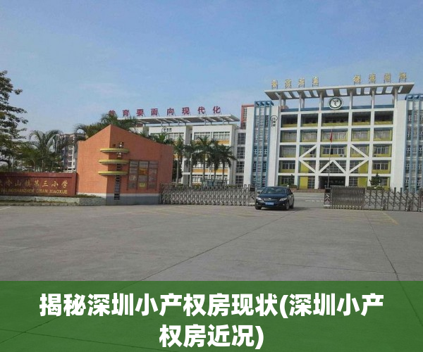 揭秘深圳小产权房现状(深圳小产权房近况)