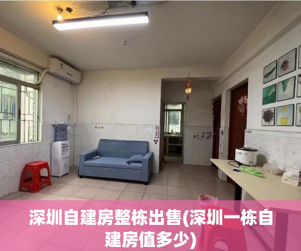 深圳自建房整栋出售(深圳一栋自建房值多少)