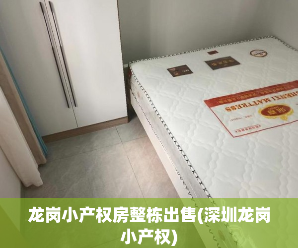 龙岗小产权房整栋出售(深圳龙岗小产权)