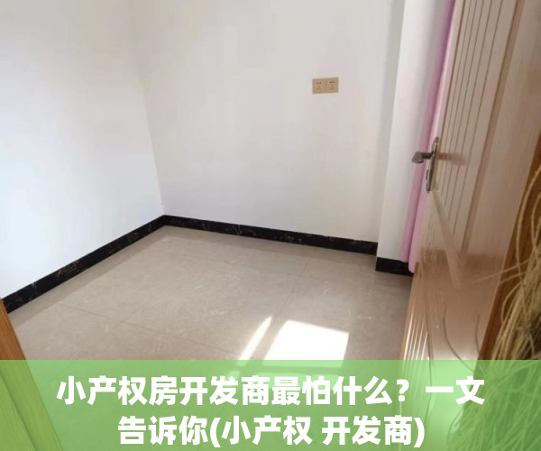 小产权房开发商最怕什么？一文告诉你(小产权 开发商)