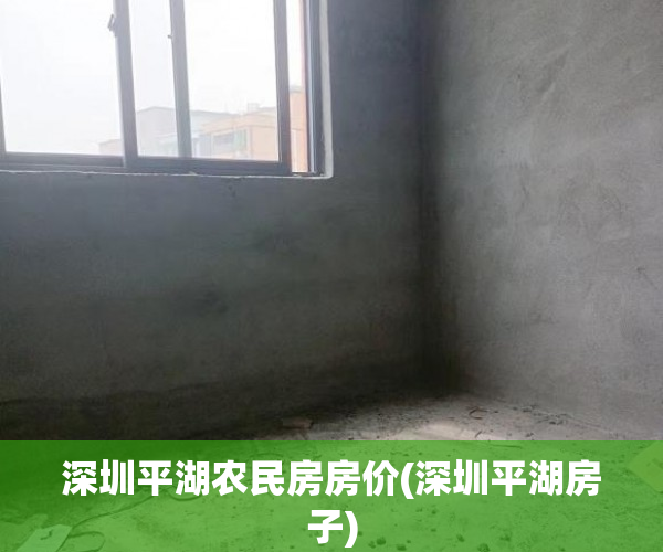 深圳平湖农民房房价(深圳平湖房子) 深圳平湖农民房房价(深圳平湖房子)