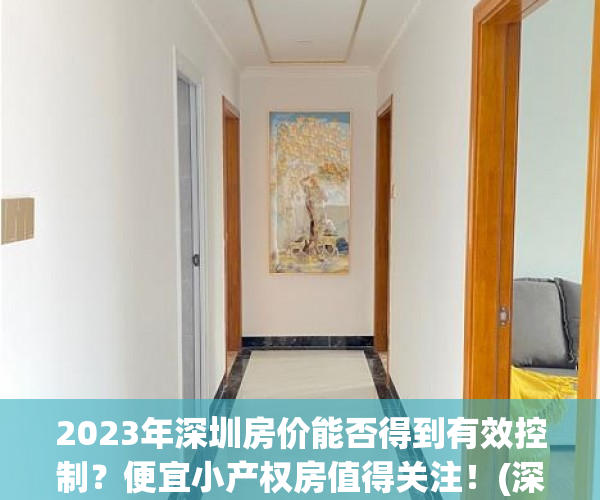 2023年深圳房价能否得到有效控制？便宜小产权房值得关注！(深圳房价2030年)
