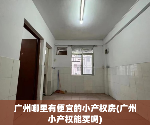 广州哪里有便宜的小产权房(广州小产权能买吗) 广州哪里有便宜的小产权房(广州小产权能买吗)