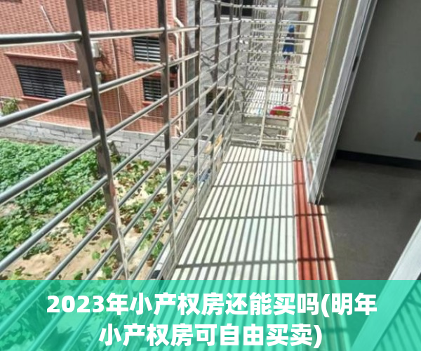 2023年小产权房还能买吗(明年小产权房可自由买卖) 2023年小产权房还能买吗(明年小产权房可自由买卖)