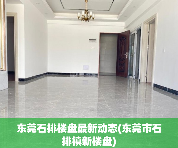 东莞石排楼盘最新动态(东莞市石排镇新楼盘) 东莞石排楼盘最新动态(东莞市石排镇新楼盘)
