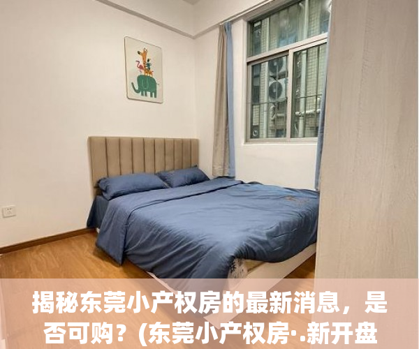 揭秘东莞小产权房的最新消息，是否可购？(东莞小产权房·.新开盘)