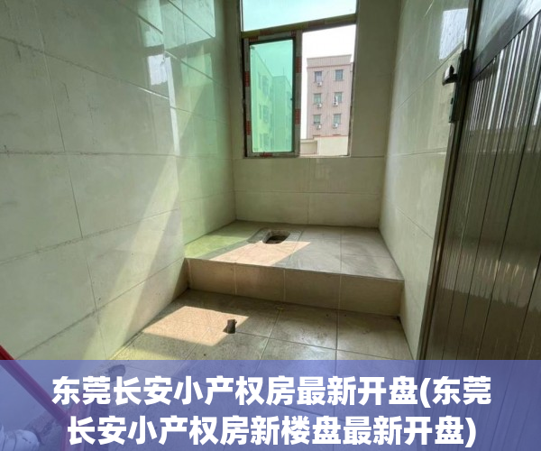 东莞长安小产权房最新开盘(东莞长安小产权房新楼盘最新开盘) 东莞长安小产权房最新开盘(东莞长安小产权房新楼盘最新开盘)