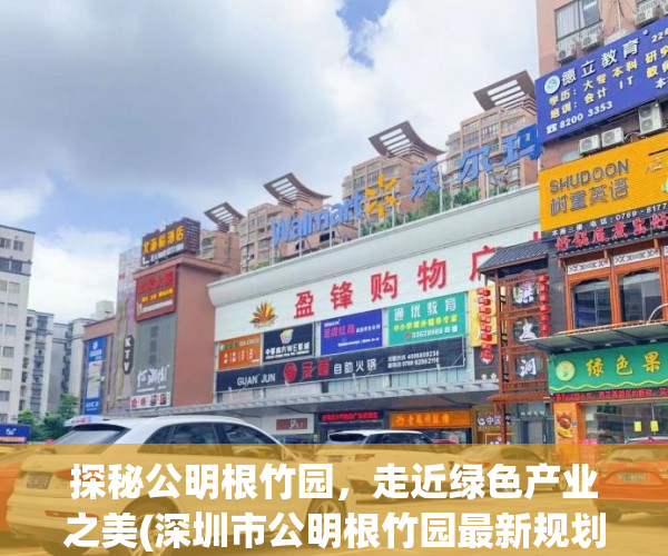 探秘公明根竹园，走近绿色产业之美(深圳市公明根竹园最新规划)