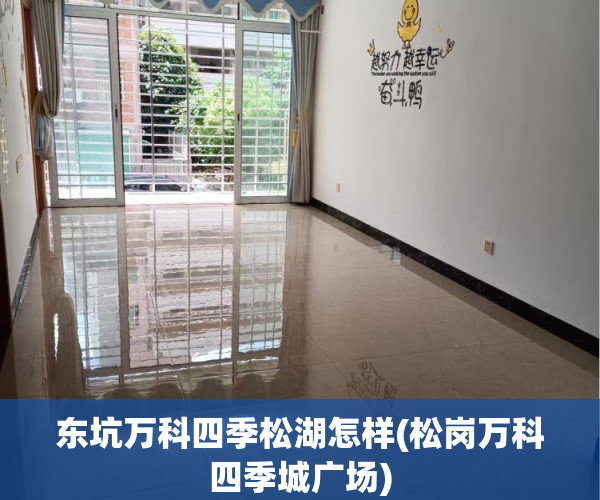 东坑万科四季松湖怎样(松岗万科四季城广场)