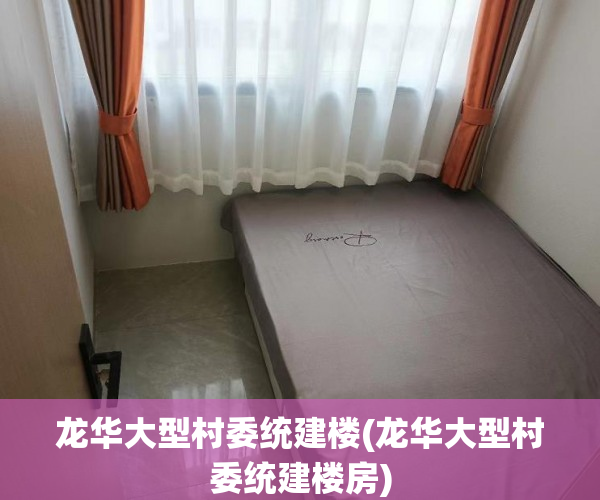 龙华大型村委统建楼(龙华大型村委统建楼房)