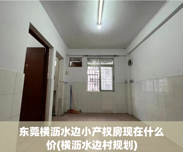 东莞横沥水边小产权房现在什么价(横沥水边村规划) 东莞横沥水边小产权房现在什么价(横沥水边村规划)