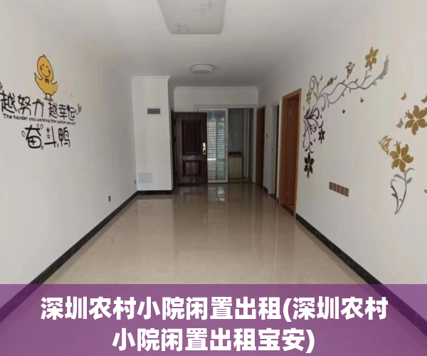 深圳农村小院闲置出租(深圳农村小院闲置出租宝安)