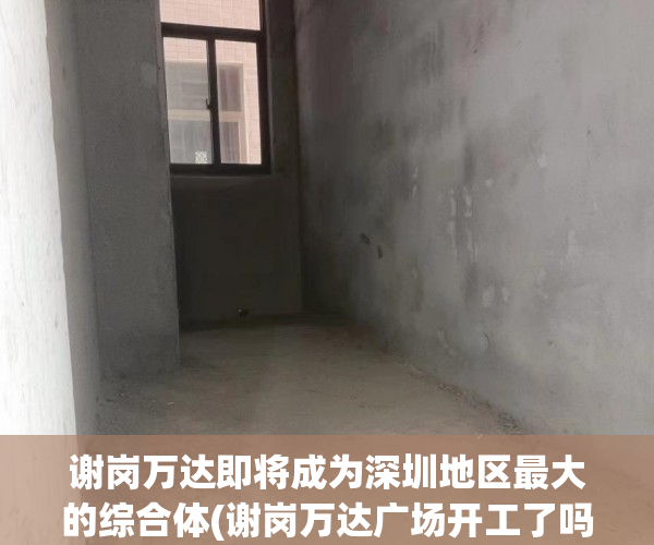 谢岗万达即将成为深圳地区最大的综合体(谢岗万达广场开工了吗)