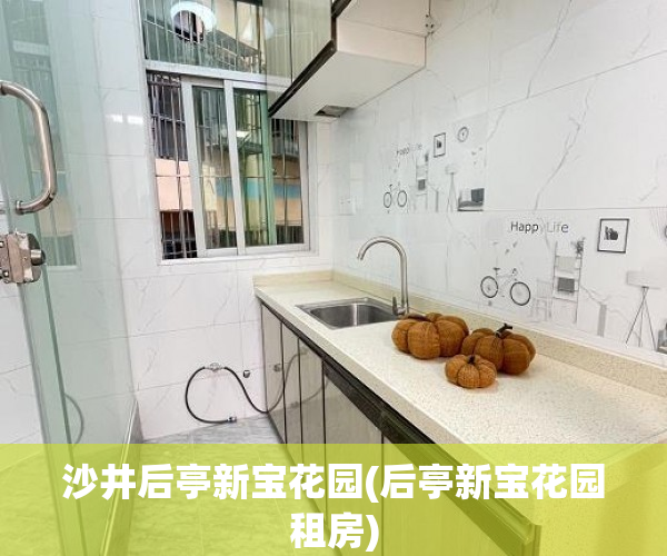 沙井后亭新宝花园(后亭新宝花园租房)