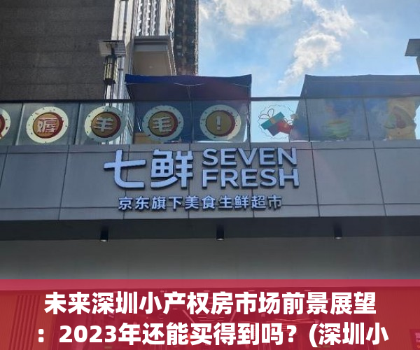 未来深圳小产权房市场前景展望：2023年还能买得到吗？(深圳小产权房价格涨幅)