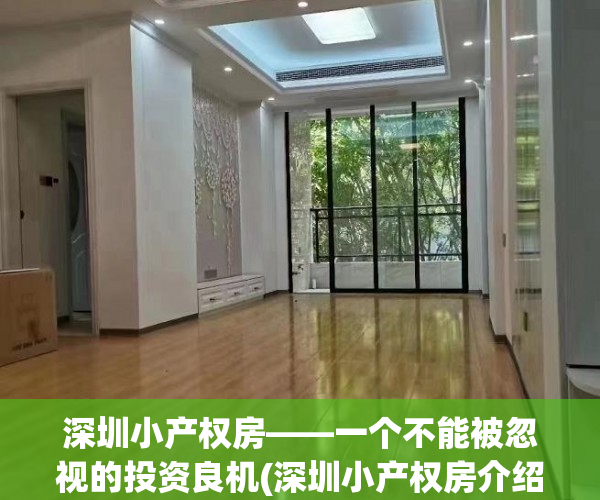 深圳小产权房——一个不能被忽视的投资良机(深圳小产权房介绍)