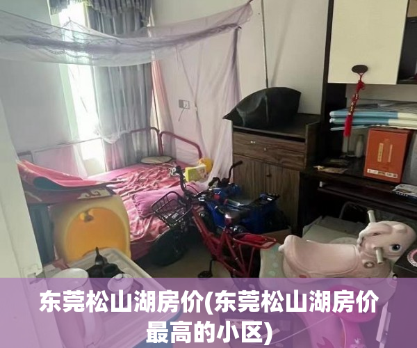 东莞松山湖房价(东莞松山湖房价最高的小区)