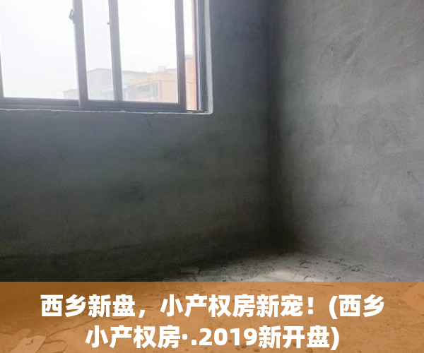 西乡新盘，小产权房新宠！(西乡小产权房·.2019新开盘)