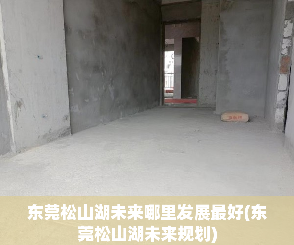 东莞松山湖未来哪里发展最好(东莞松山湖未来规划)