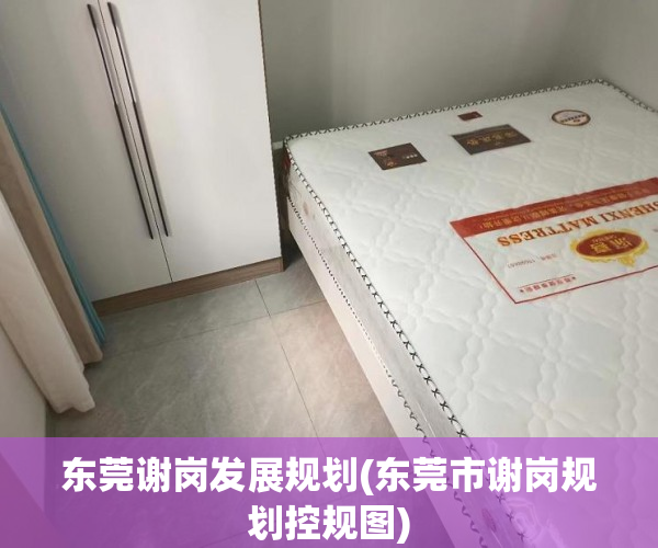 东莞谢岗发展规划(东莞市谢岗规划控规图) 东莞谢岗发展规划(东莞市谢岗规划控规图)