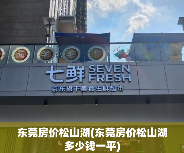 东莞房价松山湖(东莞房价松山湖多少钱一平) 东莞房价松山湖(东莞房价松山湖多少钱一平)