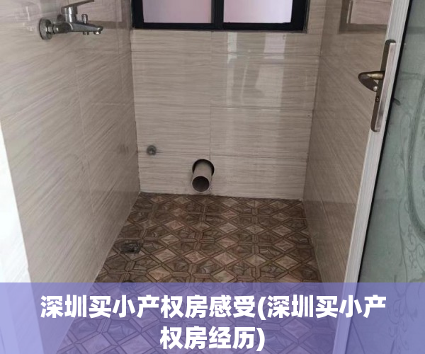 深圳买小产权房感受(深圳买小产权房经历)