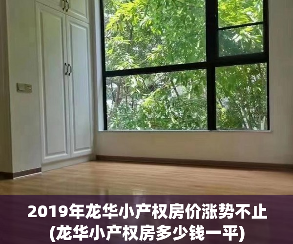 2019年龙华小产权房价涨势不止(龙华小产权房多少钱一平)