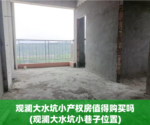 观澜大水坑小产权房值得购买吗(观澜大水坑小巷子位置)