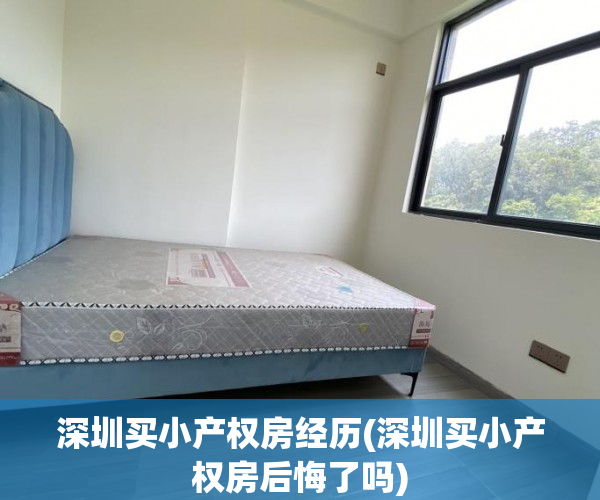 深圳买小产权房经历(深圳买小产权房后悔了吗) 深圳买小产权房经历(深圳买小产权房后悔了吗)