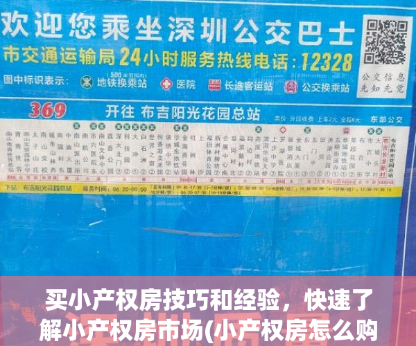 买小产权房技巧和经验，快速了解小产权房市场(小产权房怎么购买比较合法)
