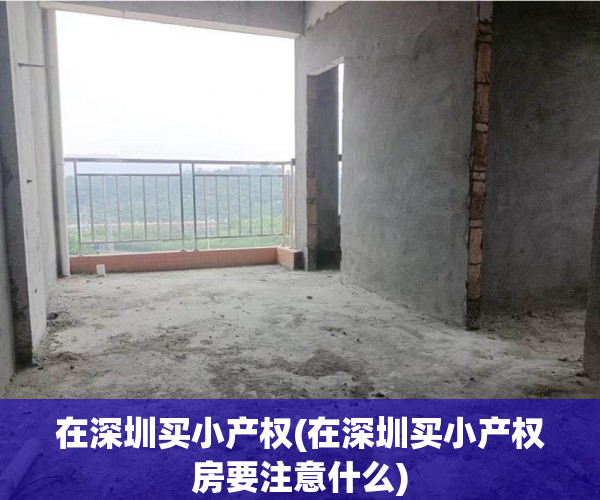 在深圳买小产权(在深圳买小产权房要注意什么) 在深圳买小产权(在深圳买小产权房要注意什么)