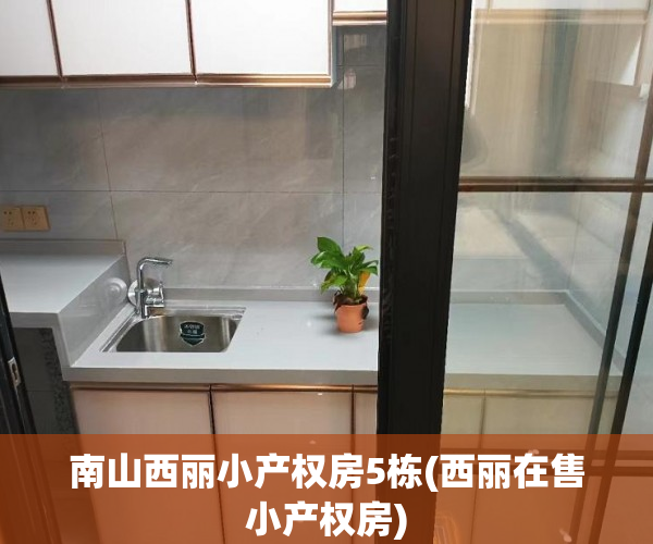 南山西丽小产权房5栋(西丽在售小产权房) 南山西丽小产权房5栋(西丽在售小产权房)