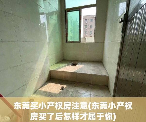 东莞买小产权房注意(东莞小产权房买了后怎样才属于你) 东莞买小产权房注意(东莞小产权房买了后怎样才属于你)