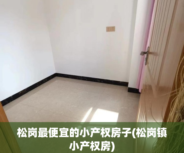 松岗最便宜的小产权房子(松岗镇小产权房)