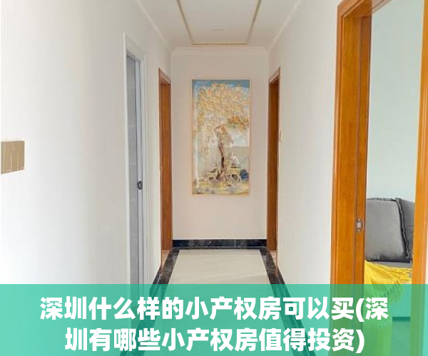 深圳什么样的小产权房可以买(深圳有哪些小产权房值得投资) 深圳什么样的小产权房可以买(深圳有哪些小产权房值得投资)