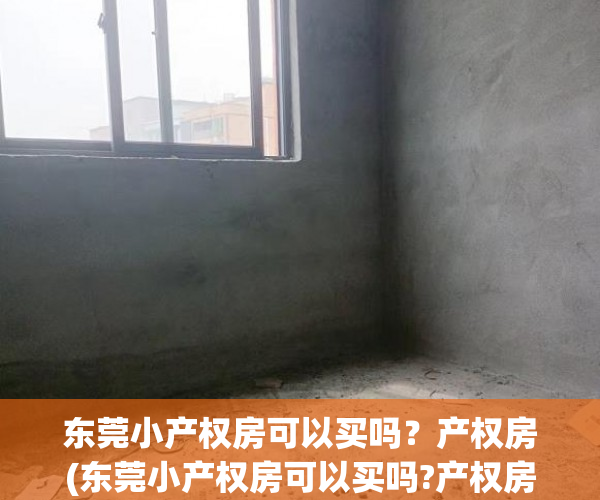 东莞小产权房可以买吗？产权房(东莞小产权房可以买吗?产权房可以买吗)