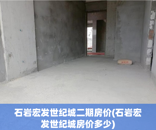 石岩宏发世纪城二期房价(石岩宏发世纪城房价多少) 石岩宏发世纪城二期房价(石岩宏发世纪城房价多少)