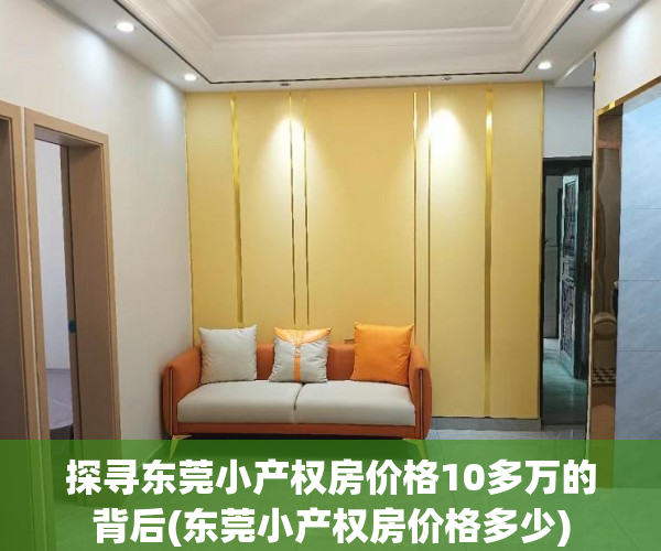 探寻东莞小产权房价格10多万的背后(东莞小产权房价格多少)