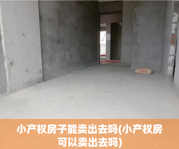 小产权房子能卖出去吗(小产权房可以卖出去吗) 小产权房子能卖出去吗(小产权房可以卖出去吗)