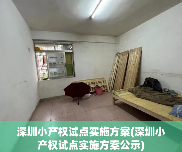 深圳小产权试点实施方案(深圳小产权试点实施方案公示)