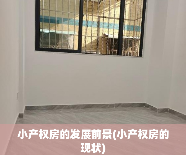 小产权房的发展前景(小产权房的现状)