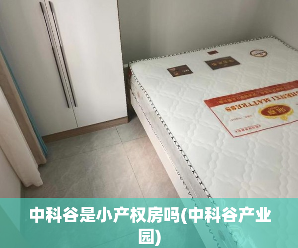 中科谷是小产权房吗(中科谷产业园) 中科谷是小产权房吗(中科谷产业园)
