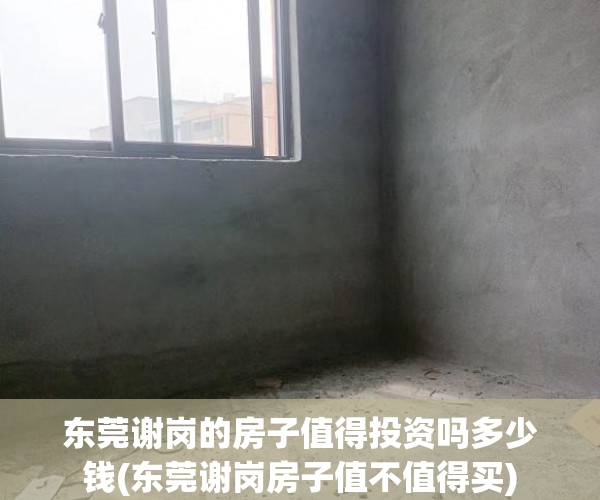 东莞谢岗的房子值得投资吗多少钱(东莞谢岗房子值不值得买) 东莞谢岗的房子值得投资吗多少钱(东莞谢岗房子值不值得买)