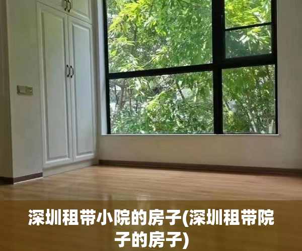深圳租带小院的房子(深圳租带院子的房子)