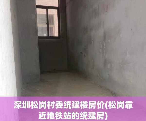 深圳松岗村委统建楼房价(松岗靠近地铁站的统建房) 深圳松岗村委统建楼房价(松岗靠近地铁站的统建房)