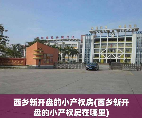 西乡新开盘的小产权房(西乡新开盘的小产权房在哪里) 西乡新开盘的小产权房(西乡新开盘的小产权房在哪里)