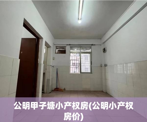 公明甲子塘小产权房(公明小产权房价)