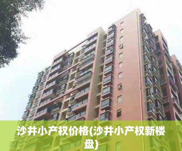 沙井小产权价格(沙井小产权新楼盘) 沙井小产权价格(沙井小产权新楼盘)